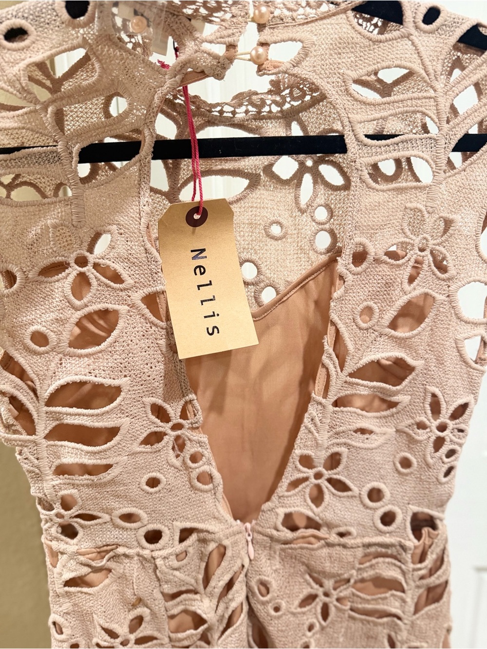 Sleeveless Blush Lace Cutout Mini Dress - Picture 5 of 5
